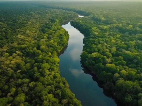 Новые методы позволили найти в лесах Амазонки сооружения доколумбовых времен
