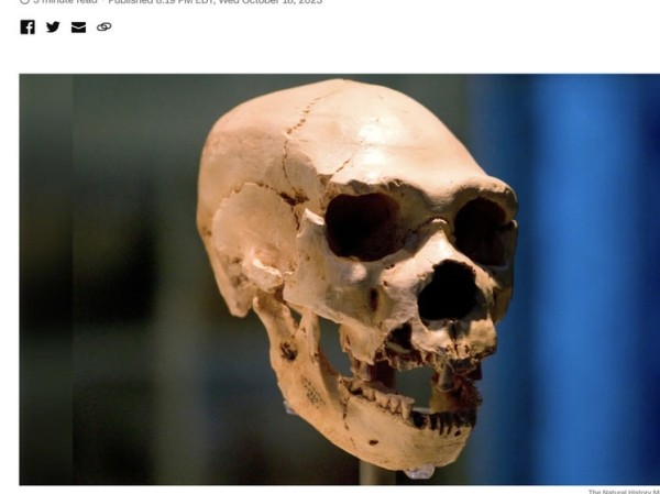 Ученые, возможно, распутали тайну происхождения неандертальцев