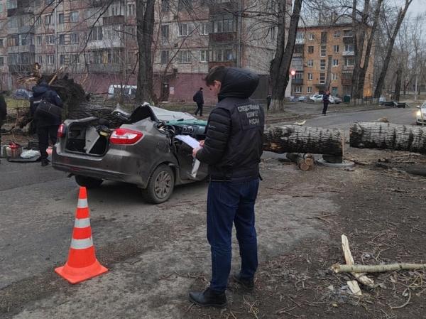 «Поваленные деревья, сотни обесточенных квартир»: на Сибирь обрушился разрушительный ураган